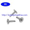 Vít tự khoan đầu dù inox